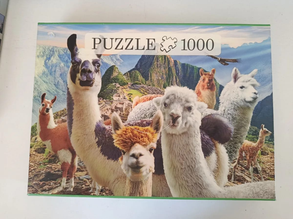 Les lamas du Machu Picchu