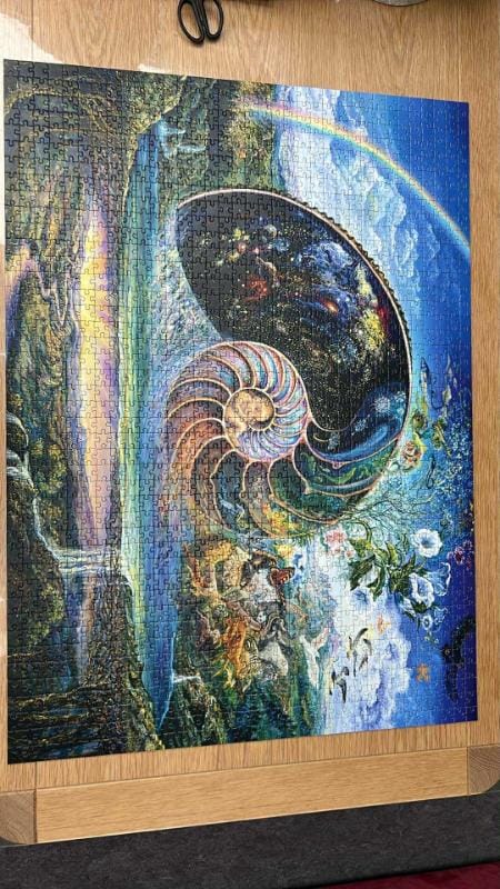 Nautilus