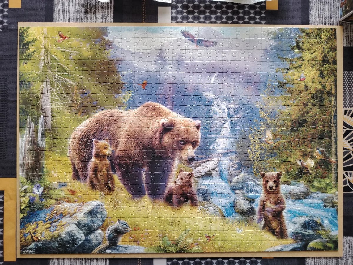 Grizzly Cubs