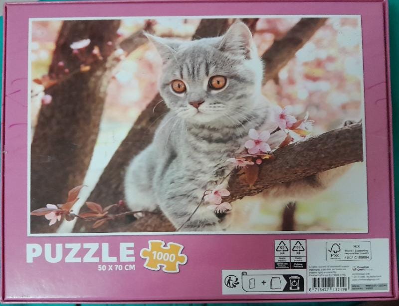 Chat gris