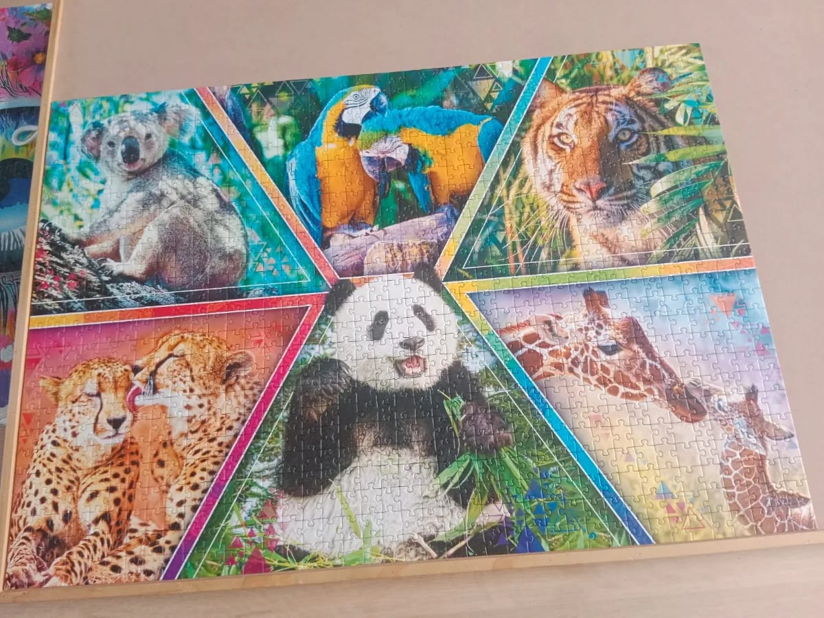 Animal Kingdom