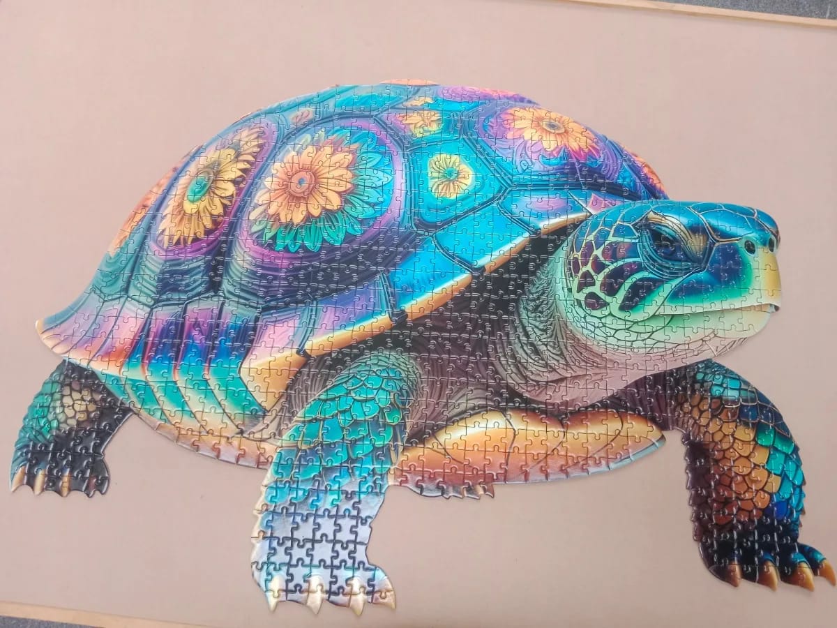 Turtle