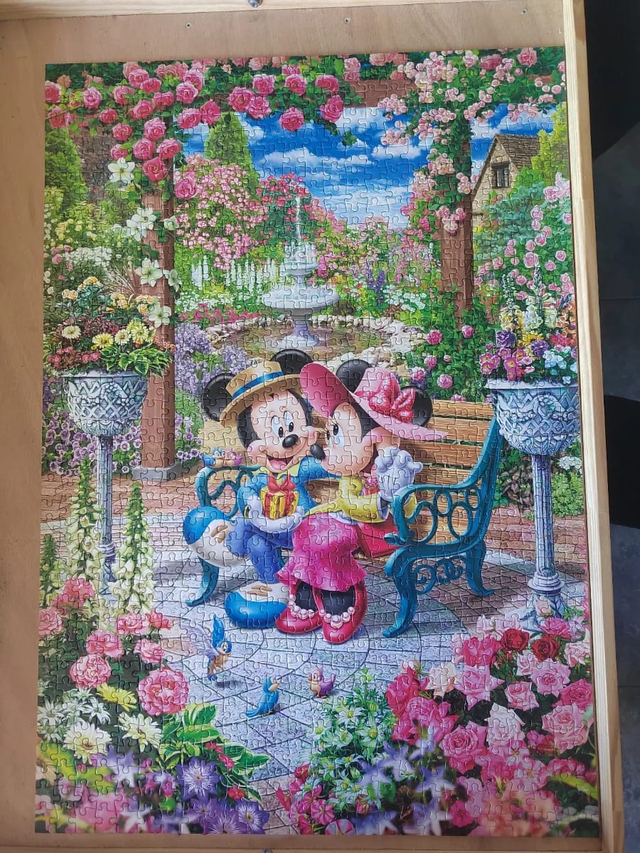 Mickey et mini jardin fleuri