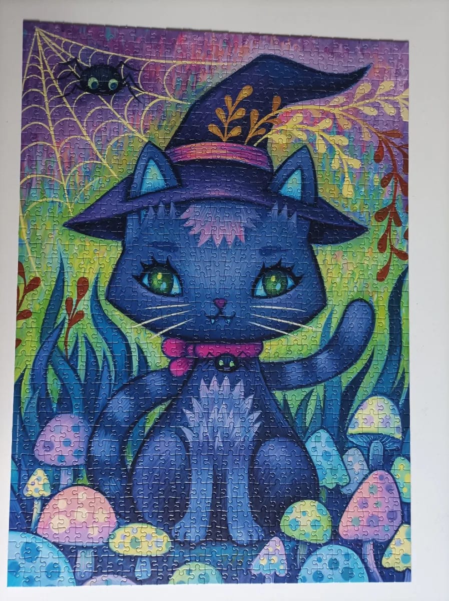 Witch cat