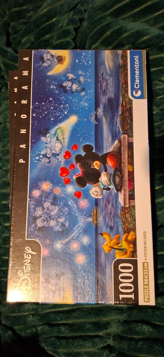 Mickey & Minnie Panorama