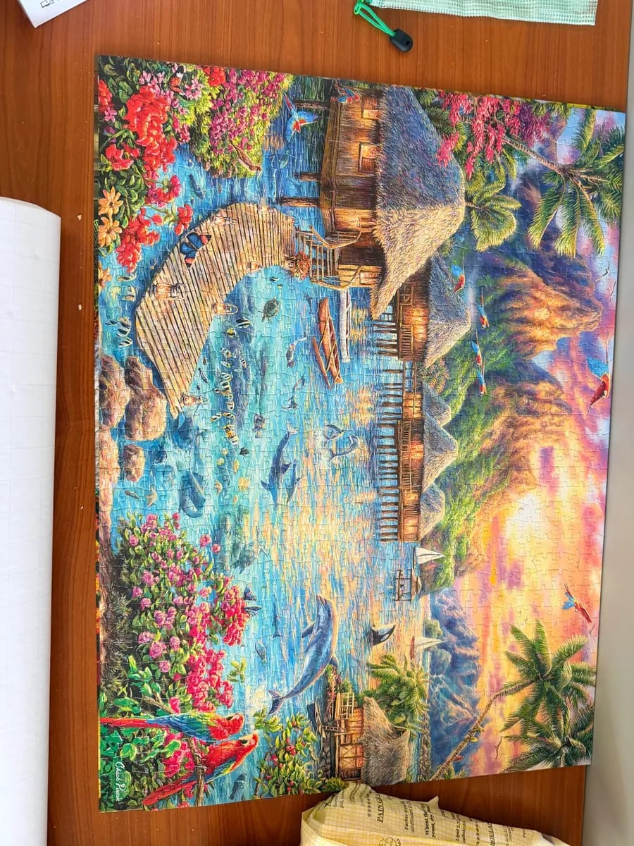 Tropical oasis