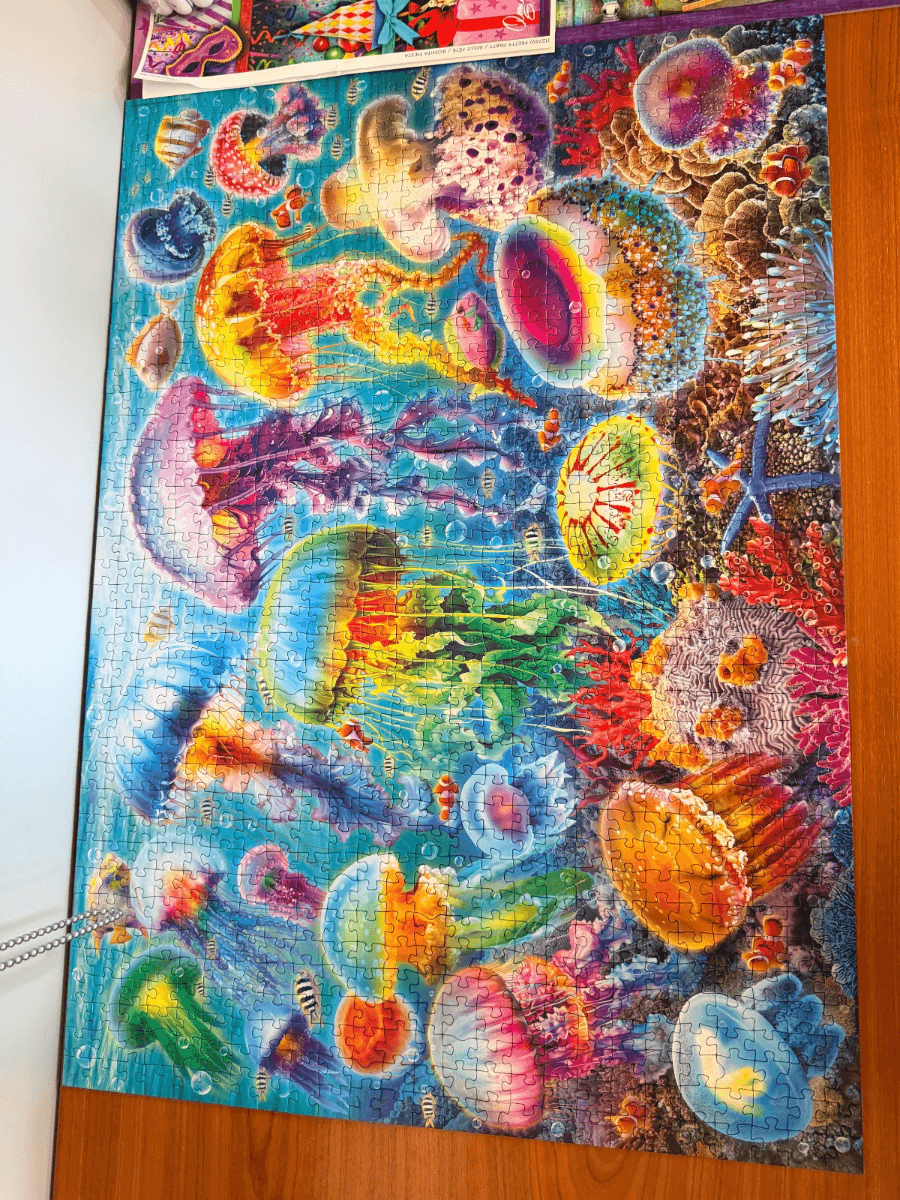 Méduses colorées