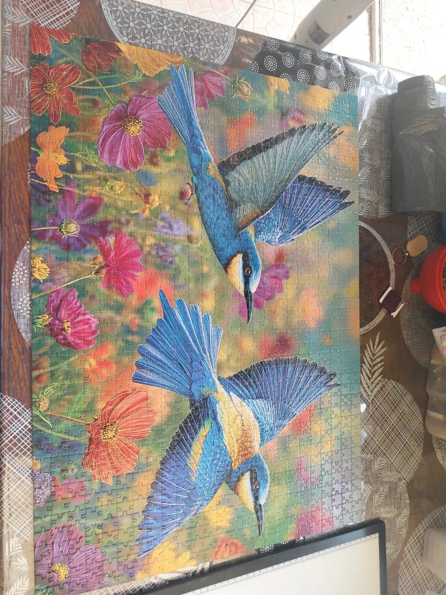 Colibris bleu