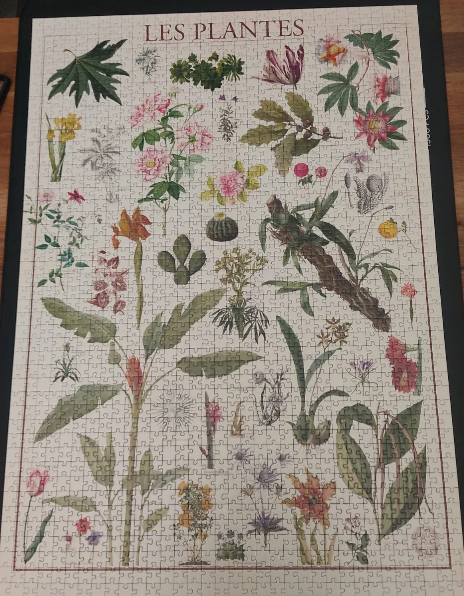 Les plantes