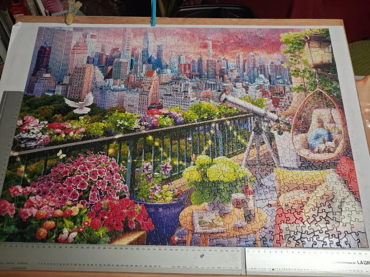 New York rooftop garden
