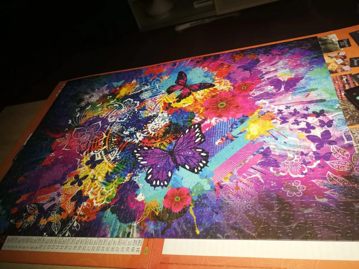Colorful Flowers and Butterflies
