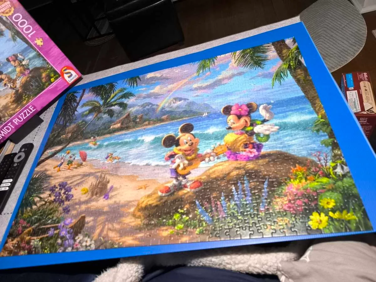 Mickey and Minnie in Hawaii