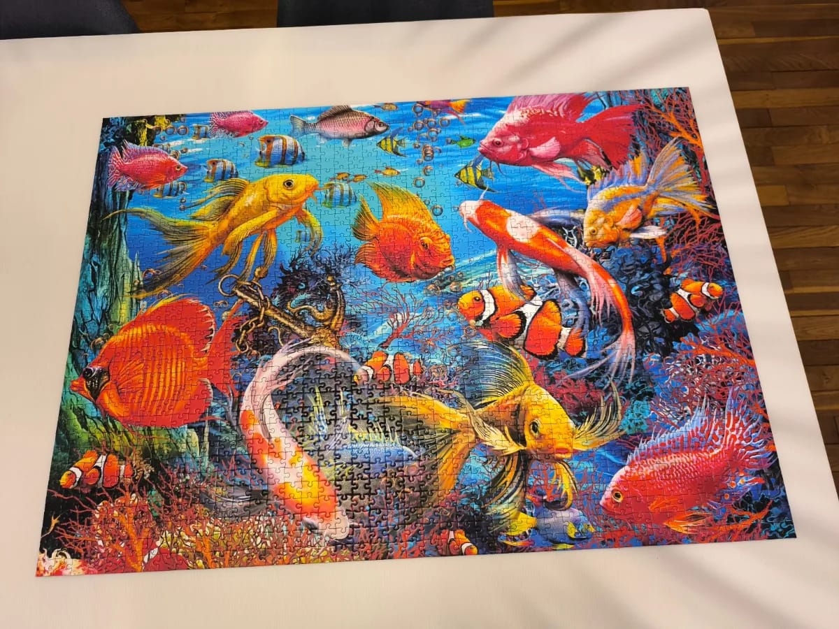 Tropical Fish