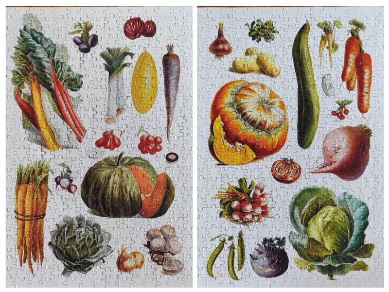 Jolies planches du potager