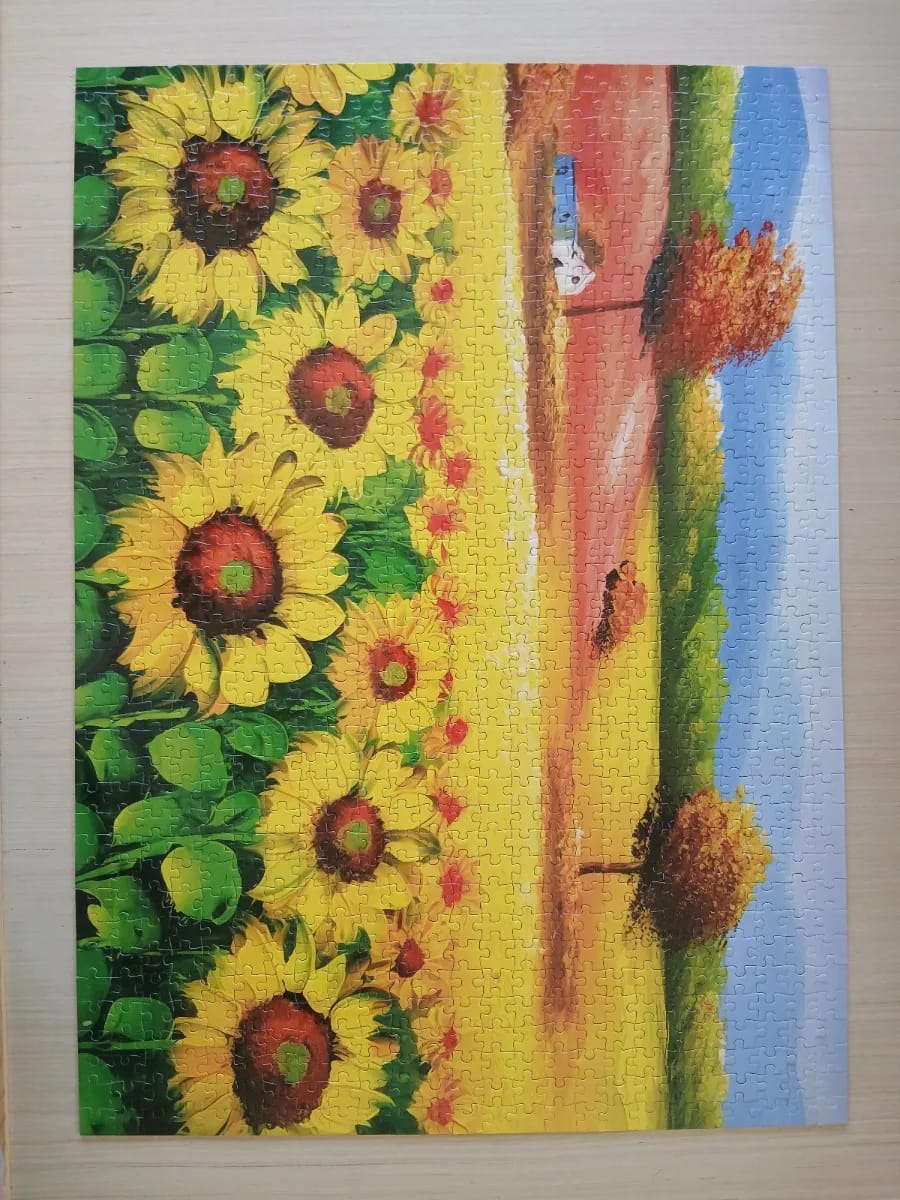 Sunflower