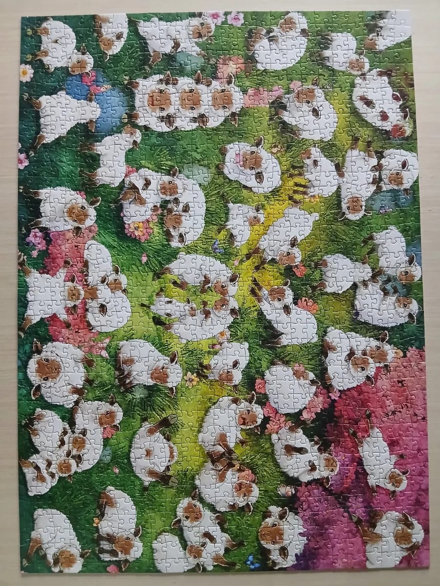 Happy Sheep