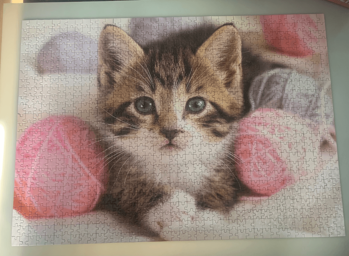 Chat et pelotes de laine