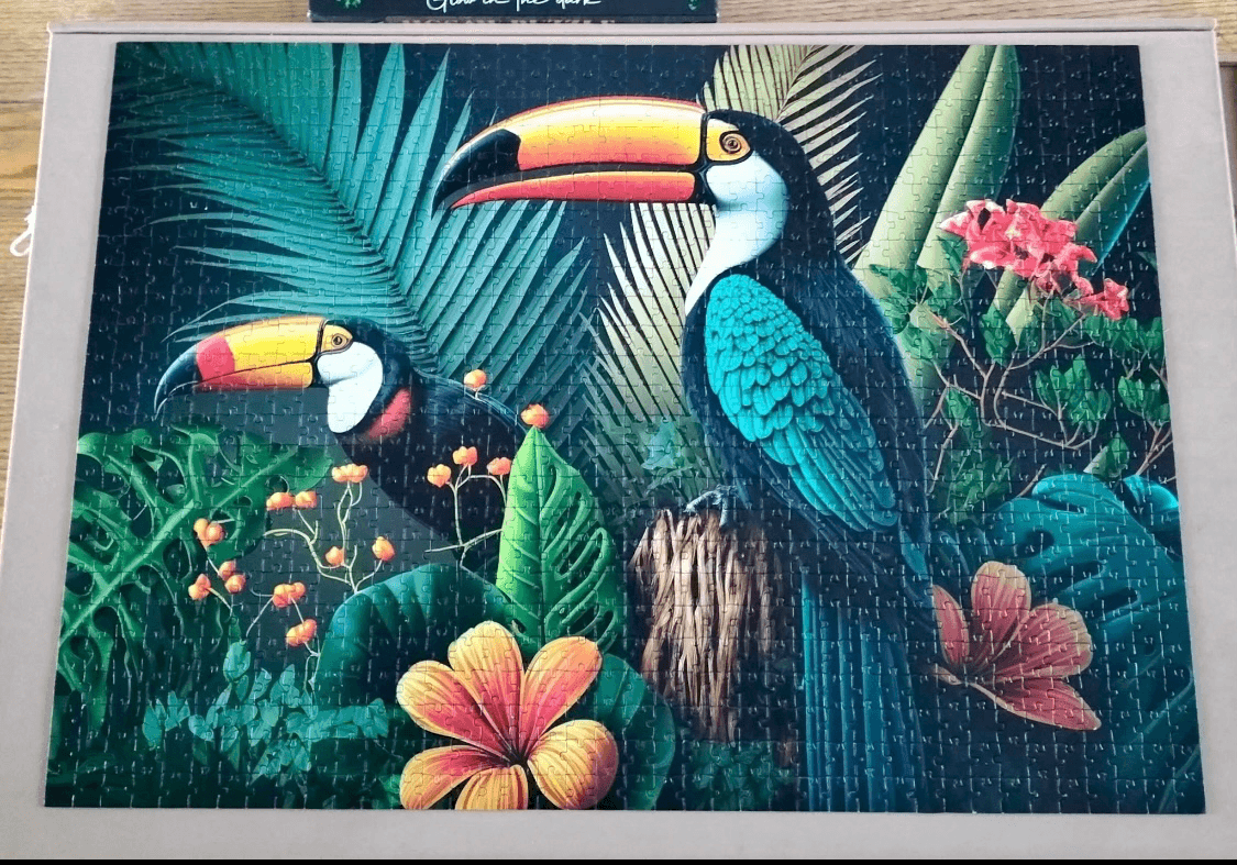 Toucans