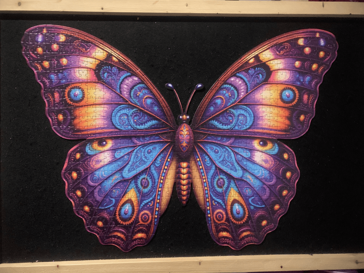Butterfly