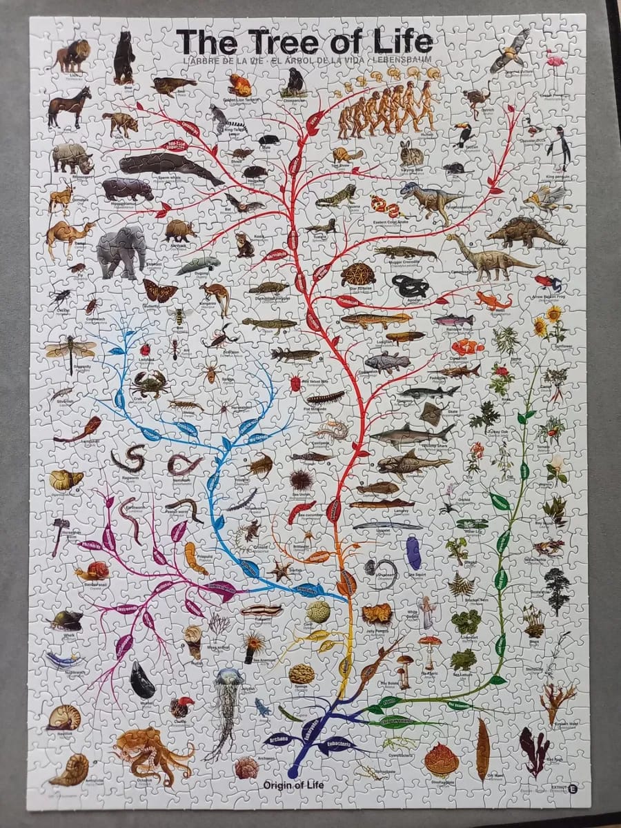 The Tree of Life