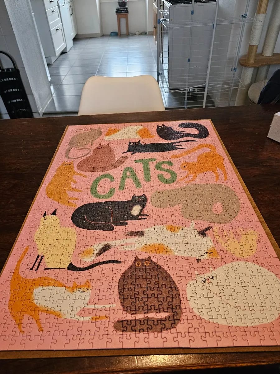 Cats