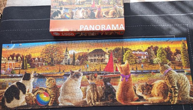 Cats on the Quay