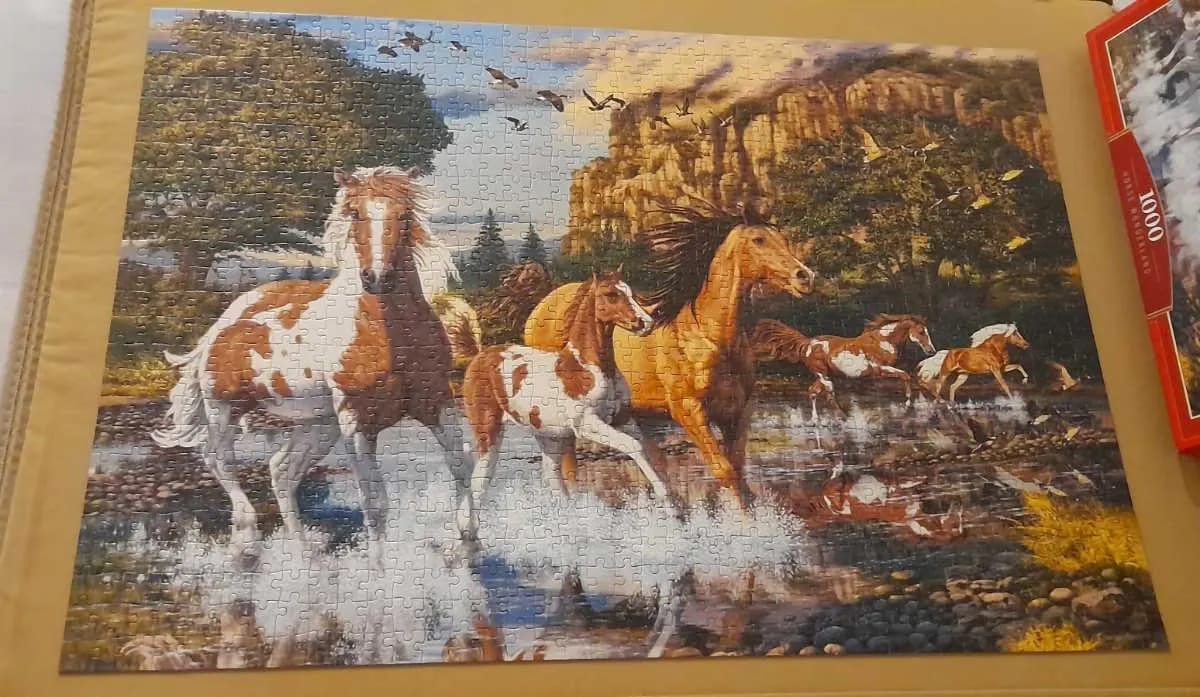 Horse wonderland