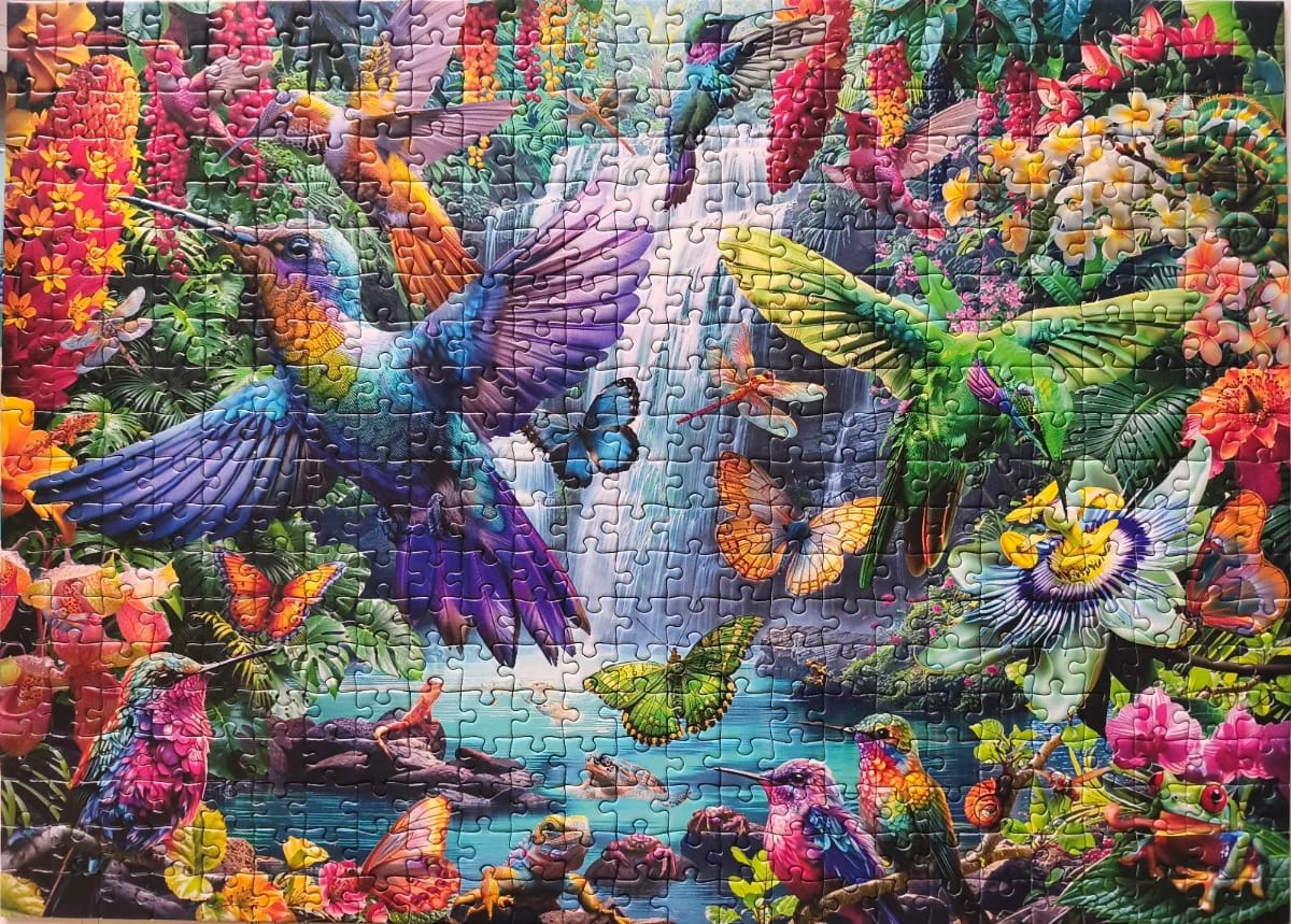 Tropical hummingbirds