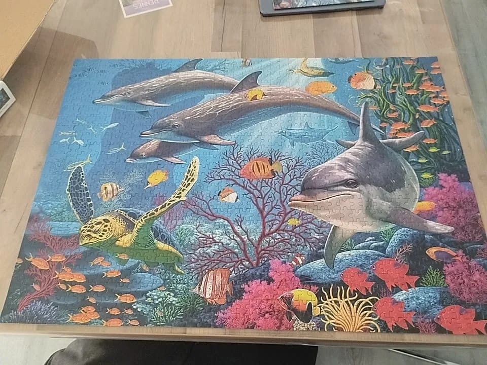 Puzzle Dauphin