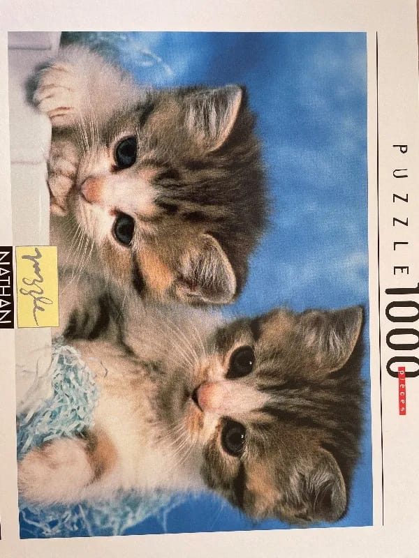 Petits mistigris