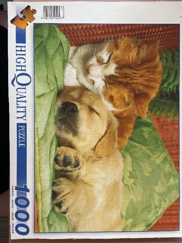 Chaton & chiot