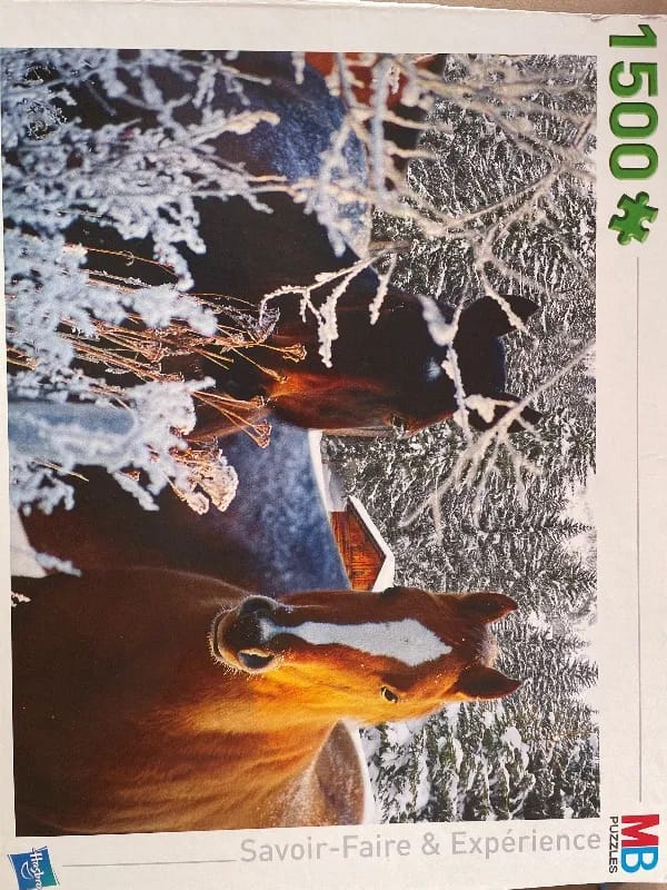 Chevaux en hiver