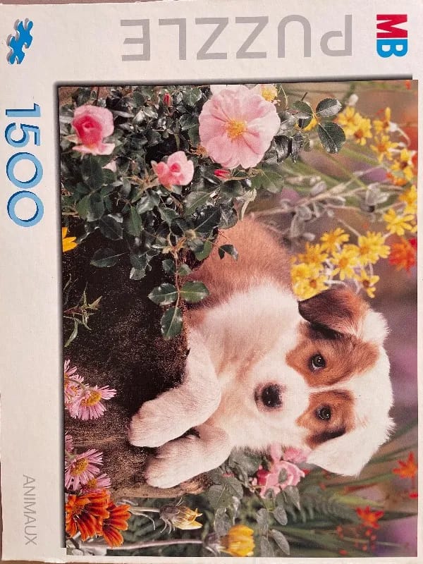 Chiot dans les fleurs
