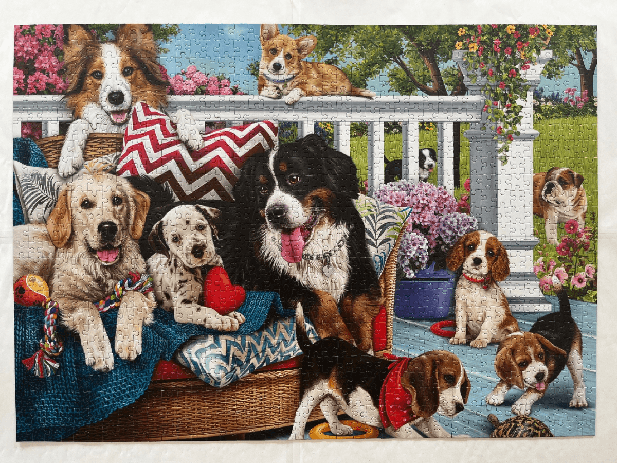 Dogs on the Porch