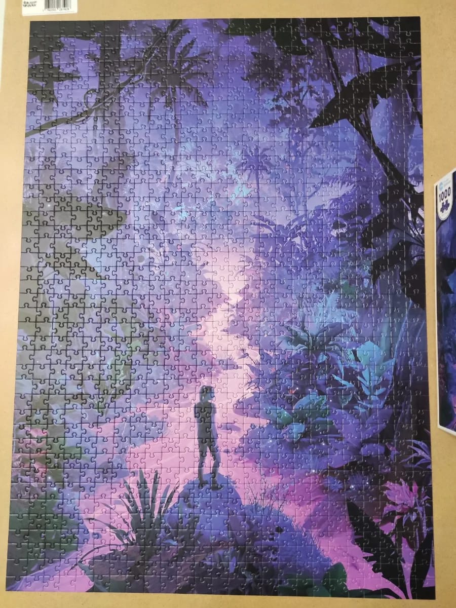 Neon Forest