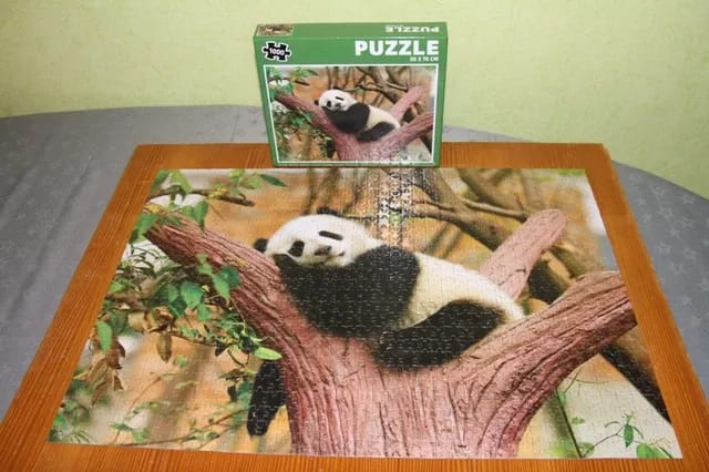 Panda dans un arbre