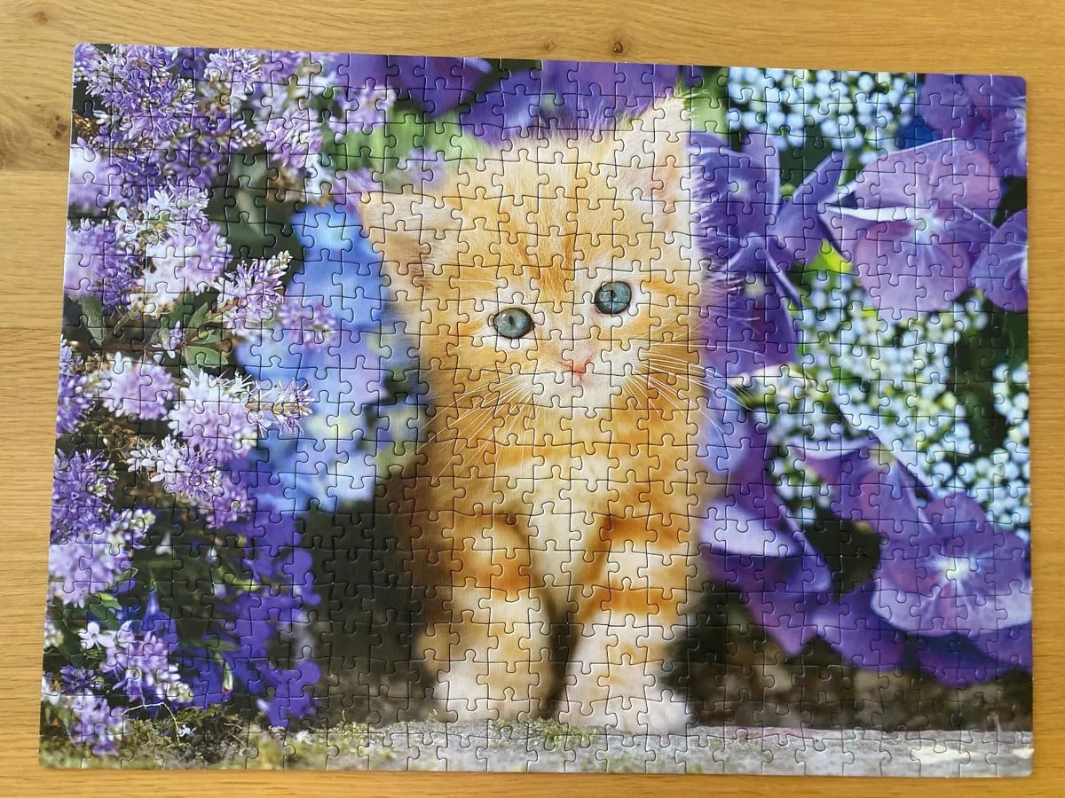 Ginger Cat in Flowers