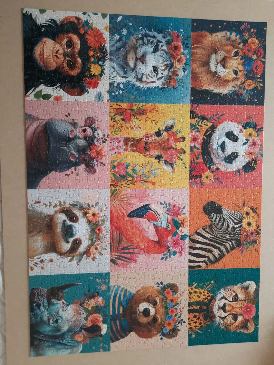 Twelve cute beasts