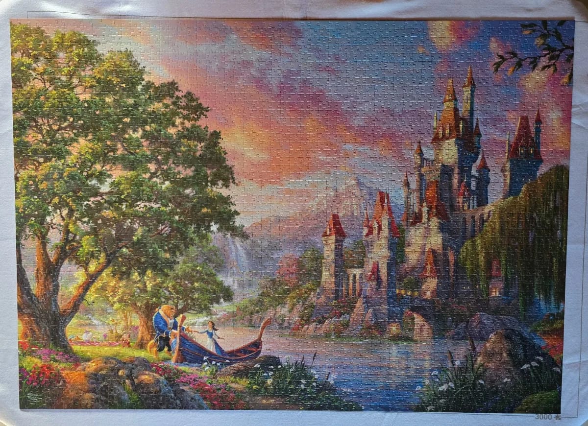 Belle's Magical World