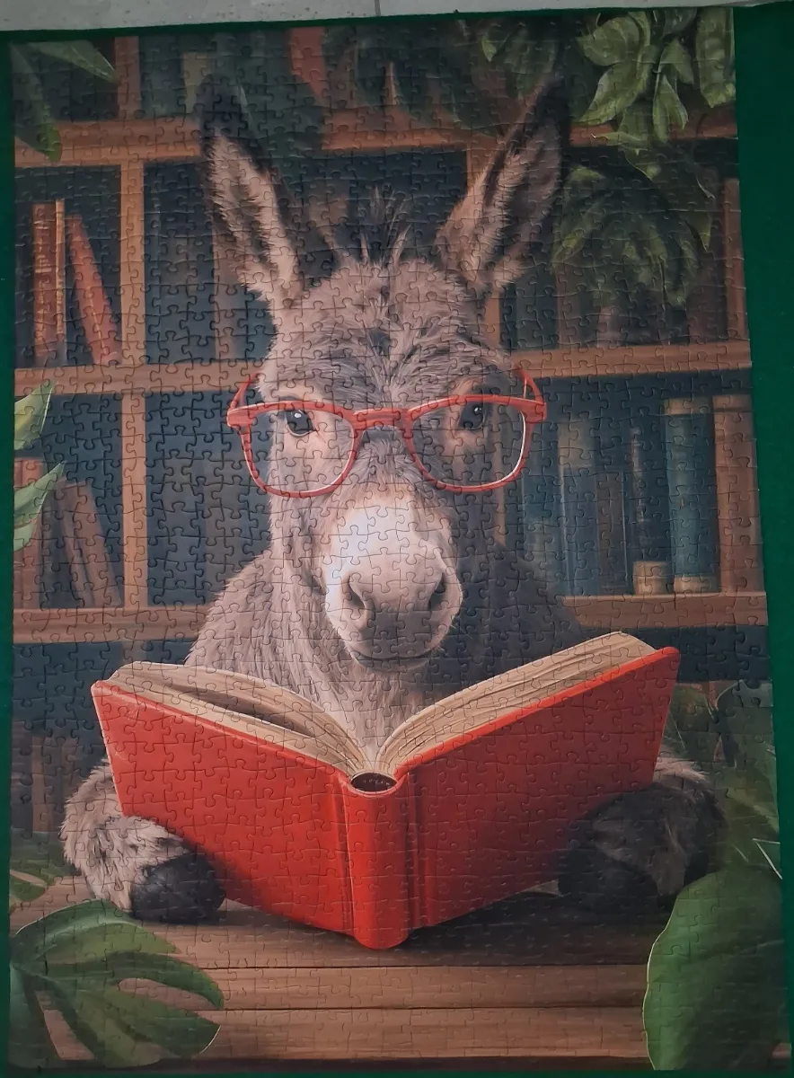 Âne studieux dans une bibliothèque confortable