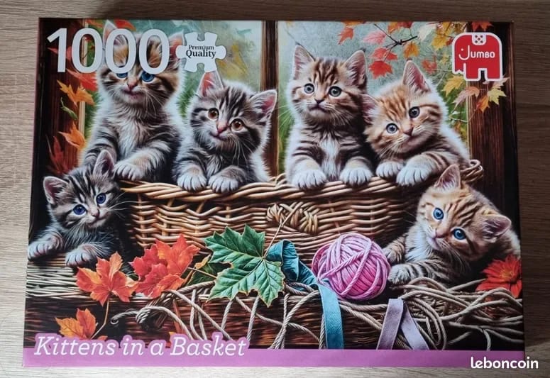 Kittens in a Basket