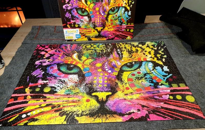 Chat coloré