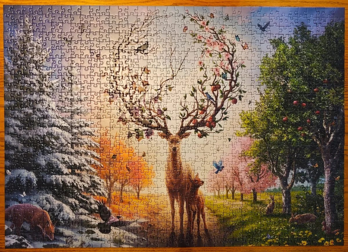 Cerf fantastique au fil des saisons