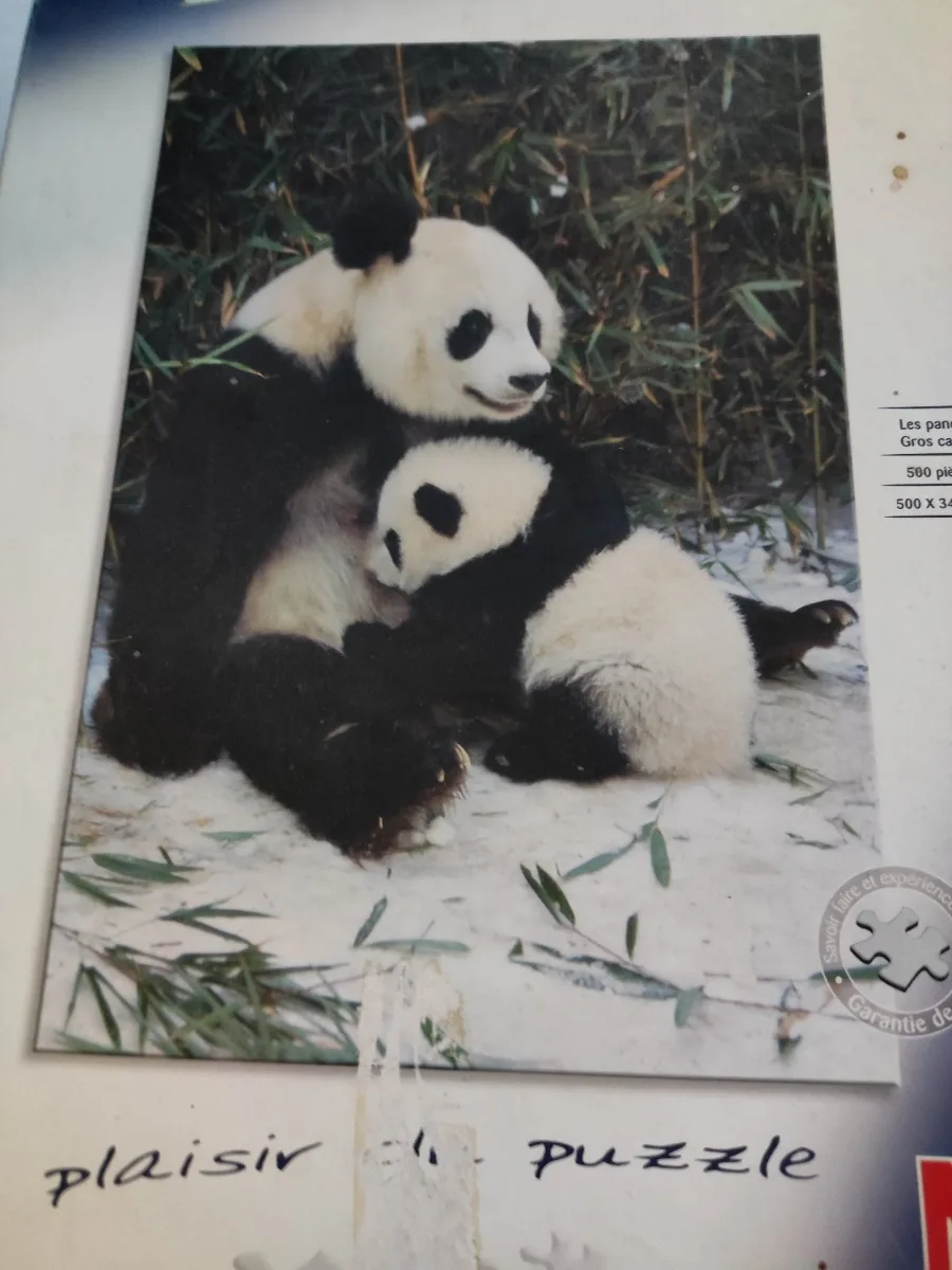 les pandas gros câlin