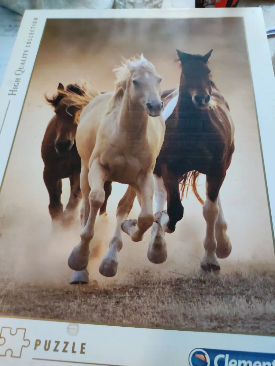 running horses