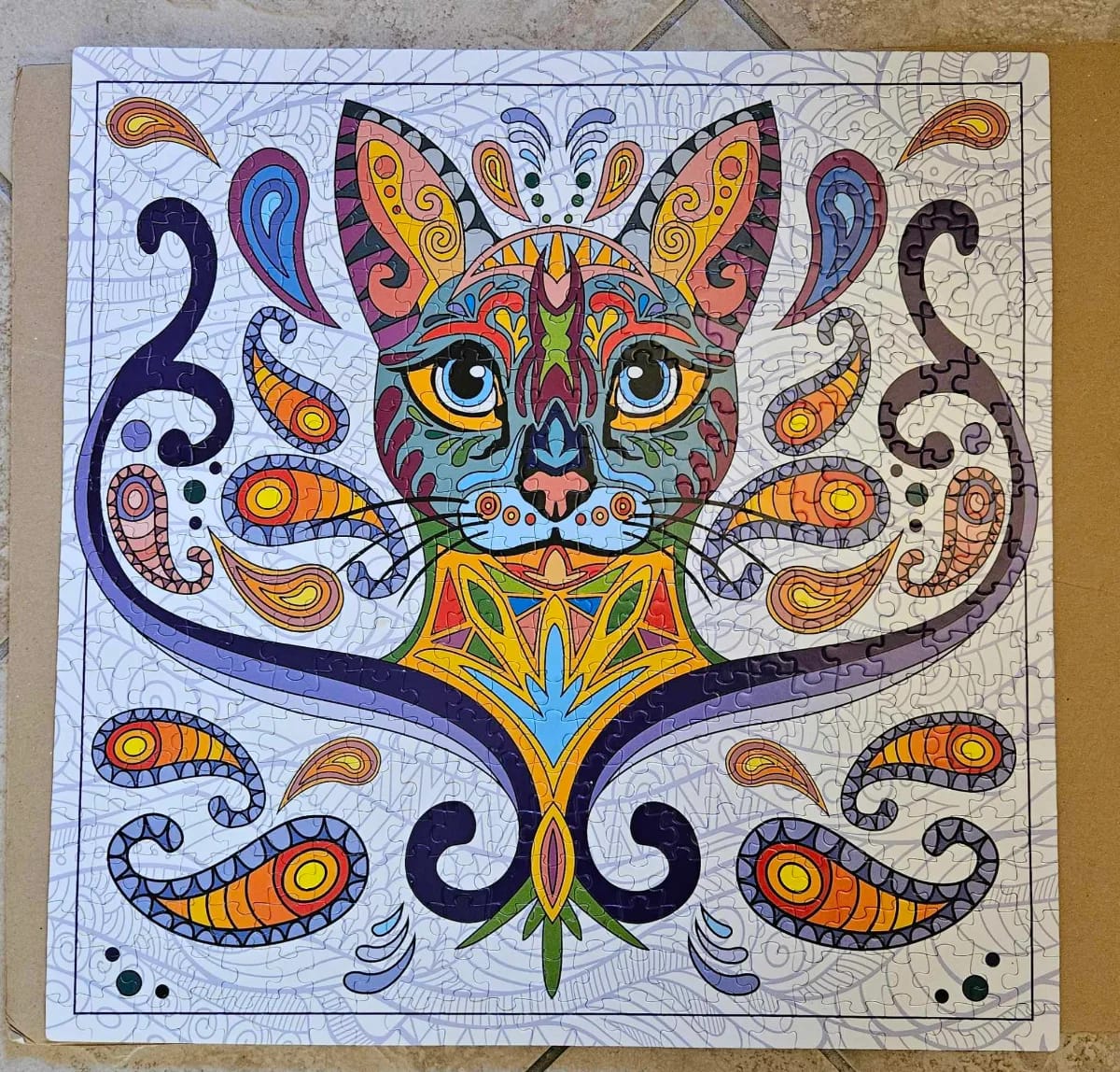 Chat envoûtant