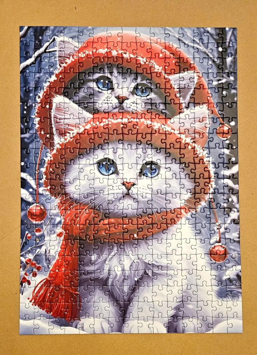 Kitties in the Winter