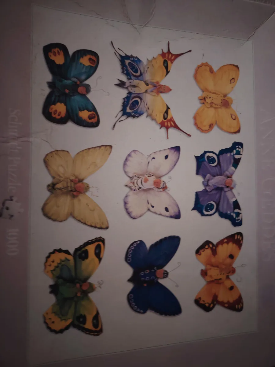 Bébés papillons