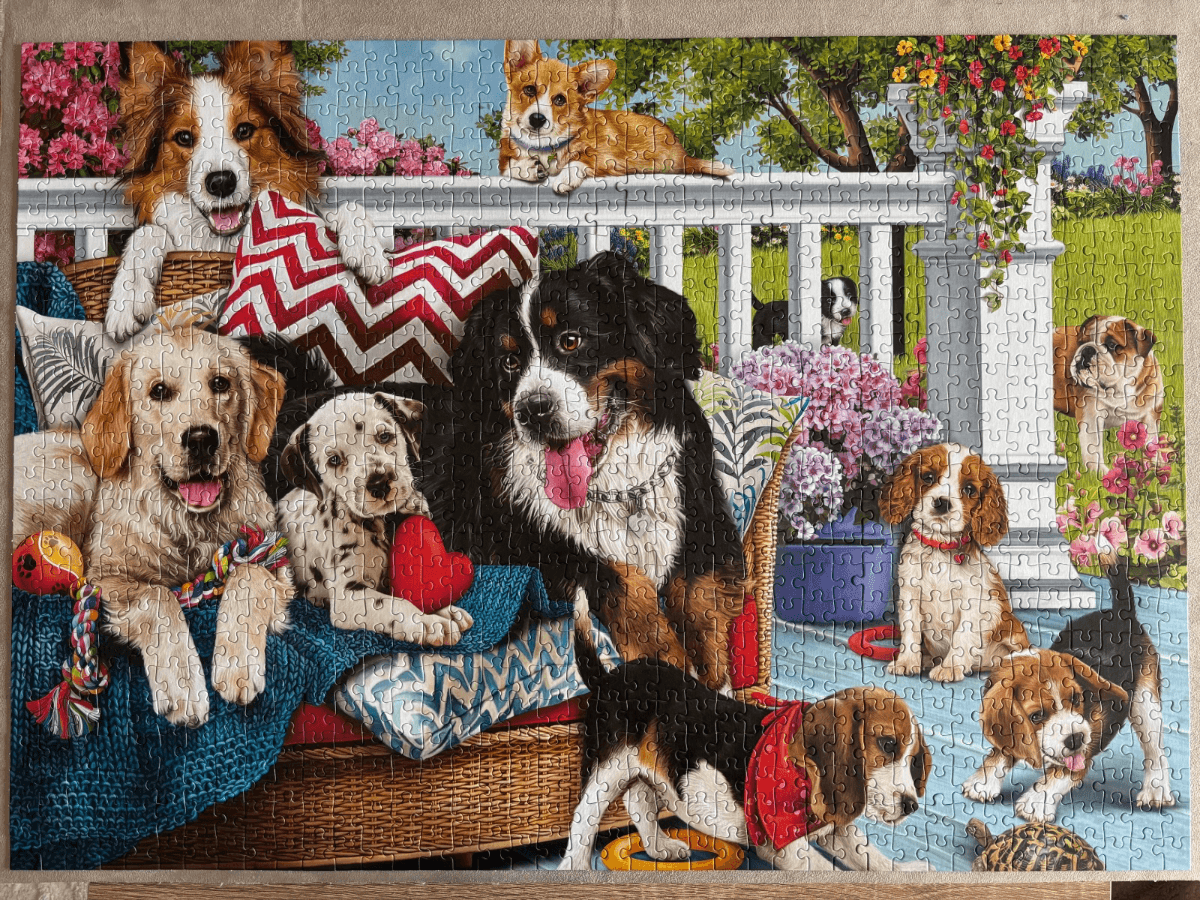 Dogs on the Porch