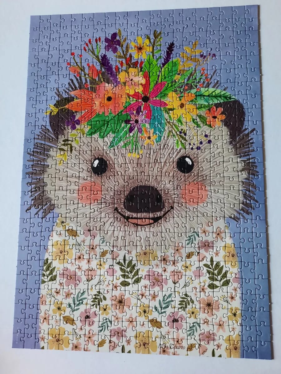 Funny Hedgehog